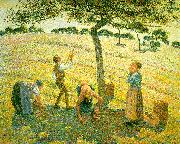 Camille Pissaro Apple Picking at Eragny sur Epte USA oil painting reproduction